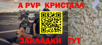эйфоретик Кингисепп