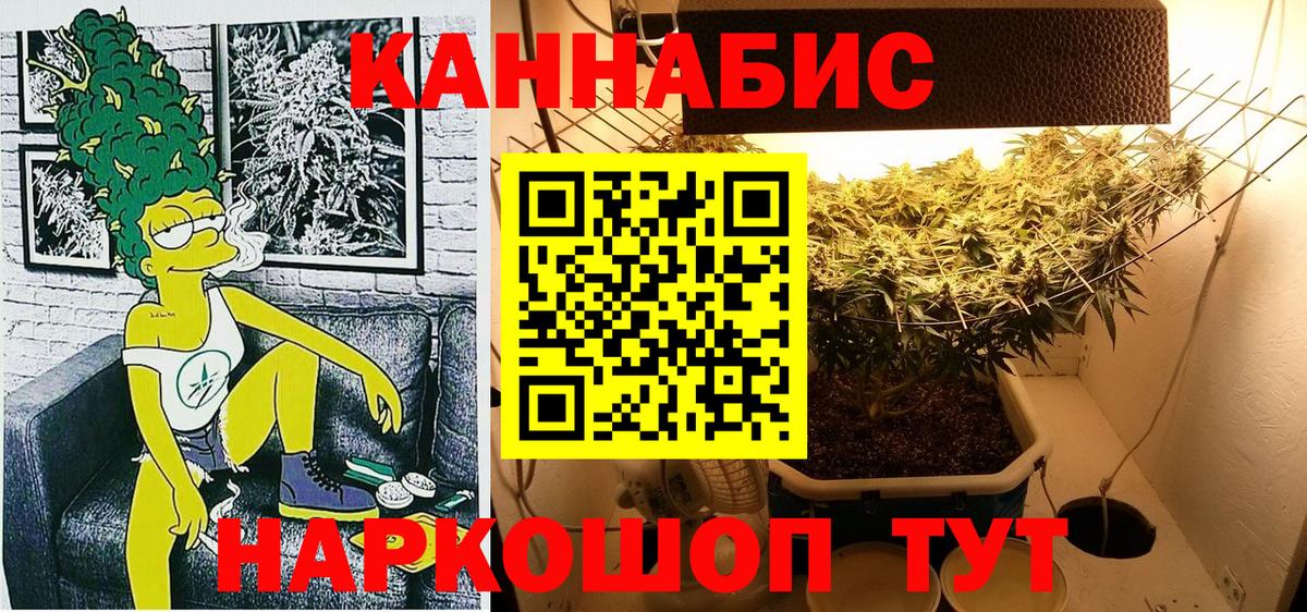 Бошки Шишки семена Красноуфимск
